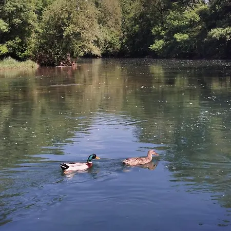 River House Arelic